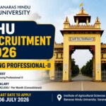 BHU Young Professional-II Job