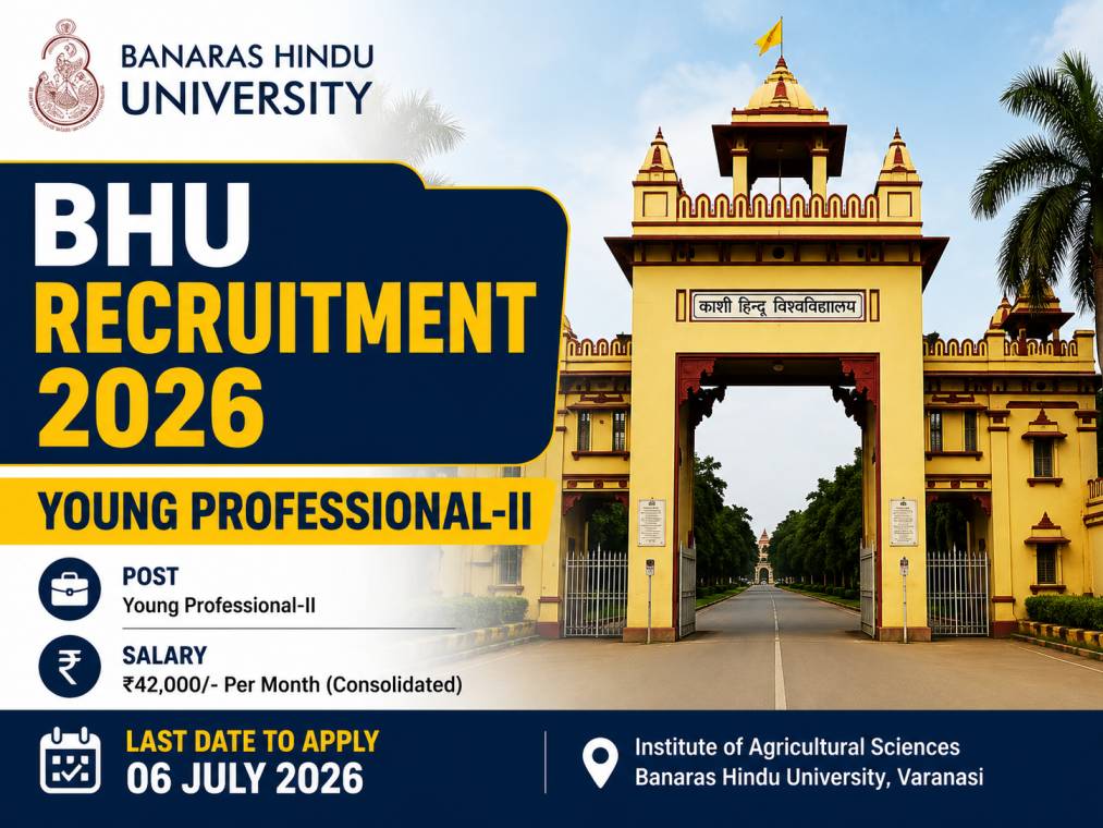 BHU Young Professional-II Job