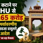 ped-katne-par-bhu-se-muawja-wasulne-ka-aadesh