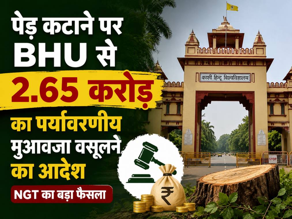ped-katne-par-bhu-se-muawja-wasulne-ka-aadesh